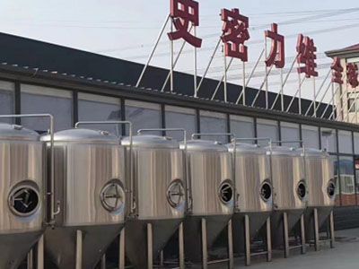 海南精酿啤酒设备厂—市场规模与跨界新需求
